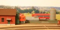 IMG_7991_1