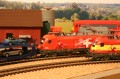 IMG_8005_1