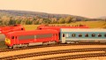 IMG_8009_1